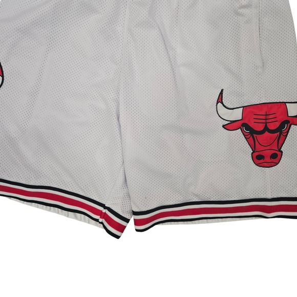 NBA Licensed Mesh Basketball Shorts – Bulls Style Graphic – Size M - Picture 2 of 5